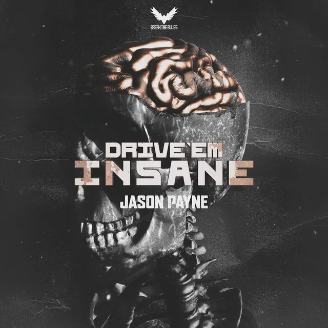 Drive 'Em Insane by Jason Payne - Rawstyle cover art