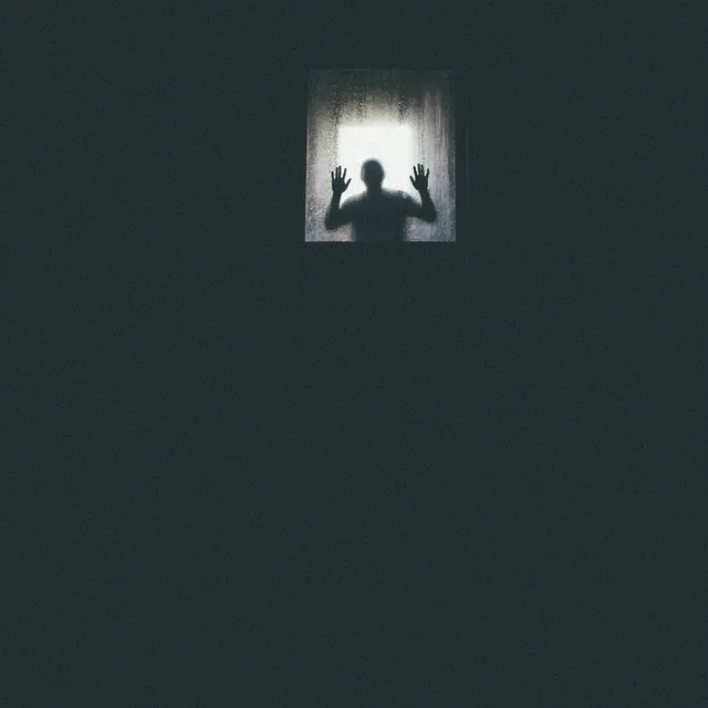 FENSTULAAA by Jiggo2027, S(AINT), DJ TOILET FUCKER - Hard Techno cover art