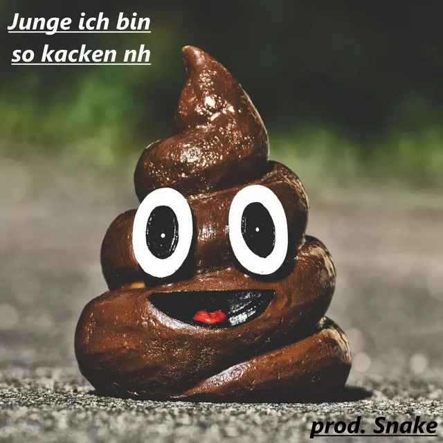 Junge ich bin so kacken nh by Jiggo2027 - Hard Techno cover art
