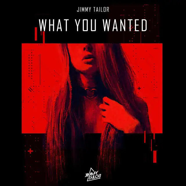 What You Wanted by Jimmy Tailor - Hardstyle cover art