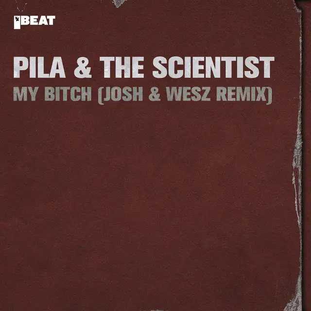 My Bitch - Josh & Wesz Remix by Josh & Wesz, The Scientist, Pila - Hardstyle cover art