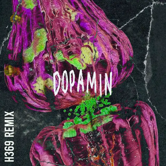 Dopamin - H369 Remix by Kalte Liebe, H369 - Hard Techno cover art