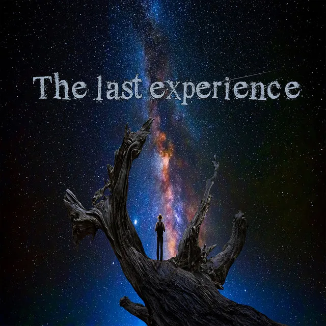 The Last Experience by Ketamane - Frenchcore cover art