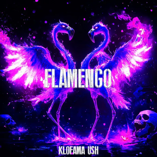 FLAMENGO by KLOFAMA, USH - Hard Techno cover art