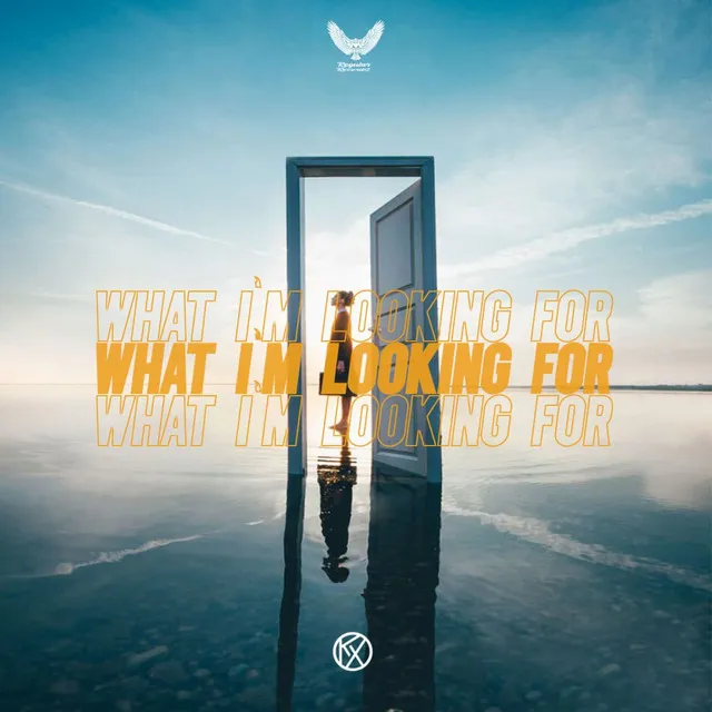 What I'm Looking For - Original Mix by KoNaTix - Hardstyle cover art