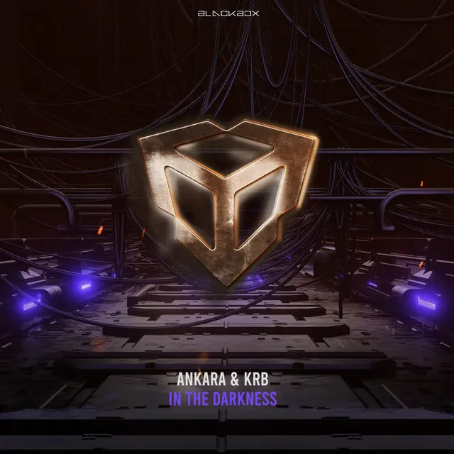 In The Darkness by KRB, Ankara - Hardstyle cover art