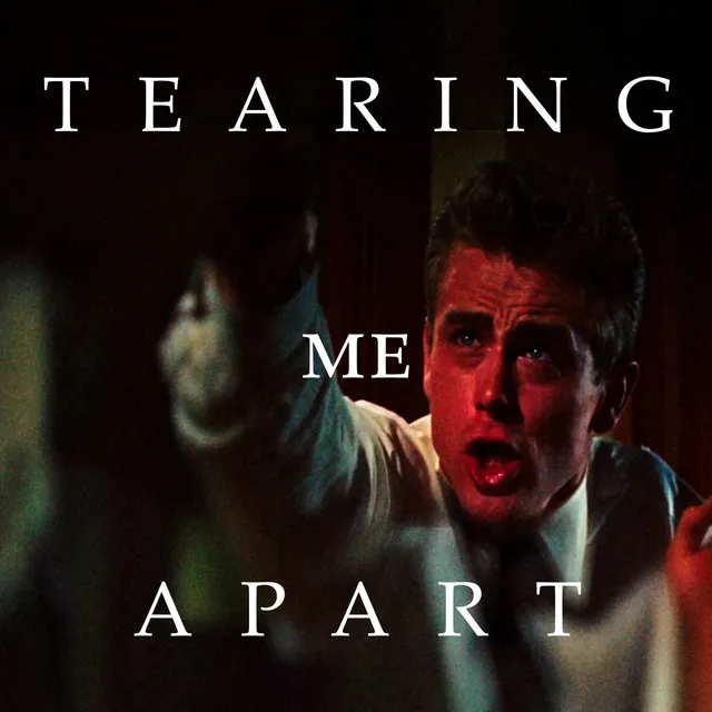 Tearing Me Apart by LAUDER - Frenchcore cover art
