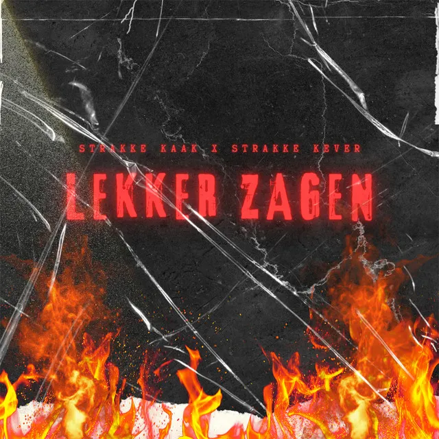 Cover art of Lekker Zagen
