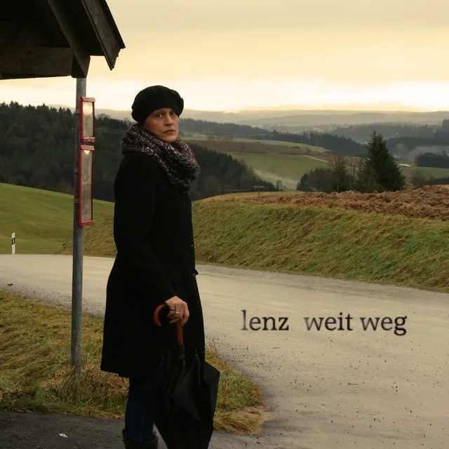Wühlen Im Keller - 2013 by Lenz - Hardcore cover art
