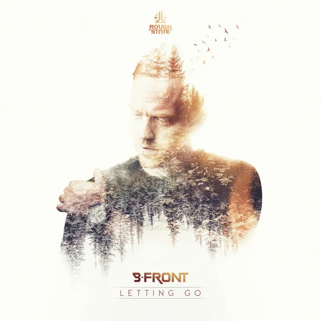 Cover art of Letting Go