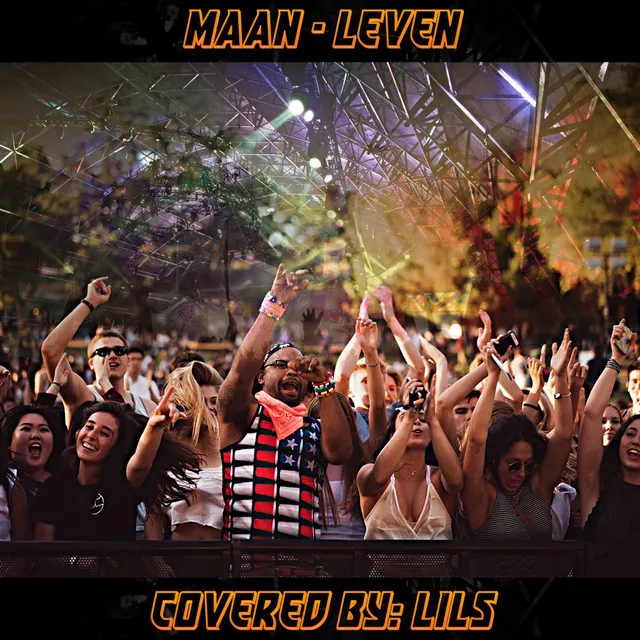 Cover art of Leven