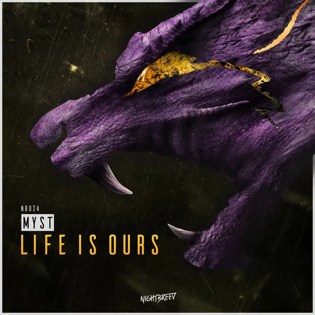 Cover art of Life Is Ours