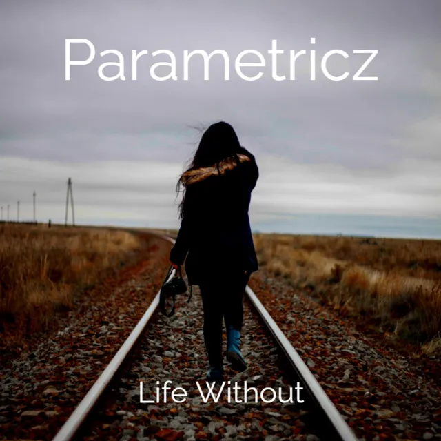 Cover art of Life Without