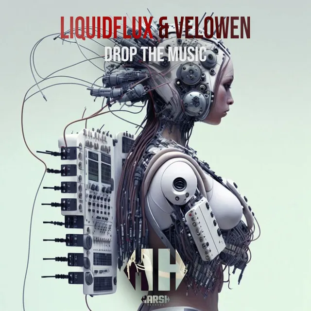 Drop The Music - Radio Mix by LiquidFlux, Velowen - Hardstyle cover art