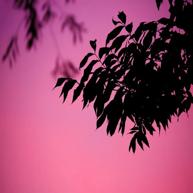 Cover art of Relax Music