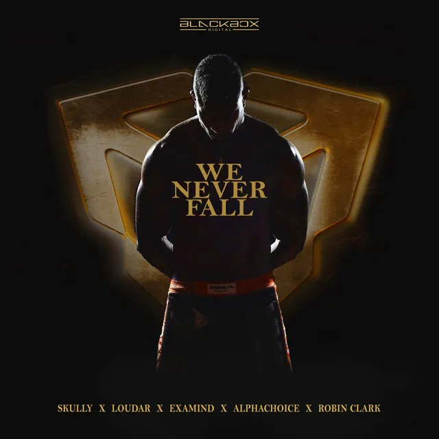 We Never Fall by Loudar, Skully, Examind, Robin Clark, Alphachoice - Hardstyle cover art