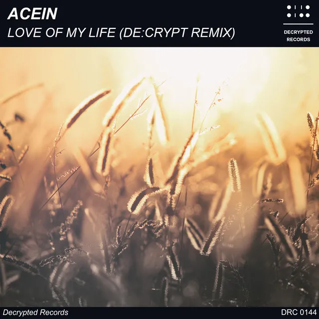 Cover art of Love Of My Life (De:crypt Remix)