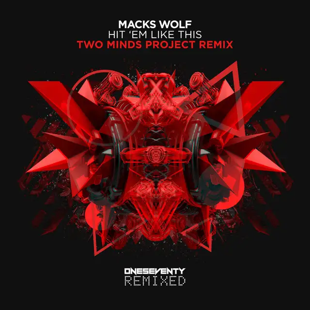 Hit 'Em Like This - Two Minds Project Remix by Macks Wolf, Two Minds Project - Hardstyle cover art