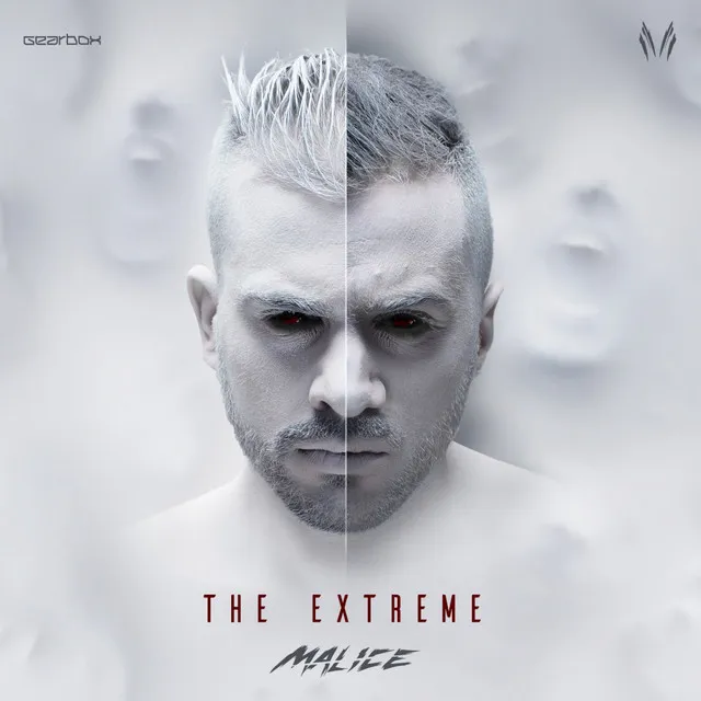 The Future - Album Mix by Malice - Rawstyle cover art