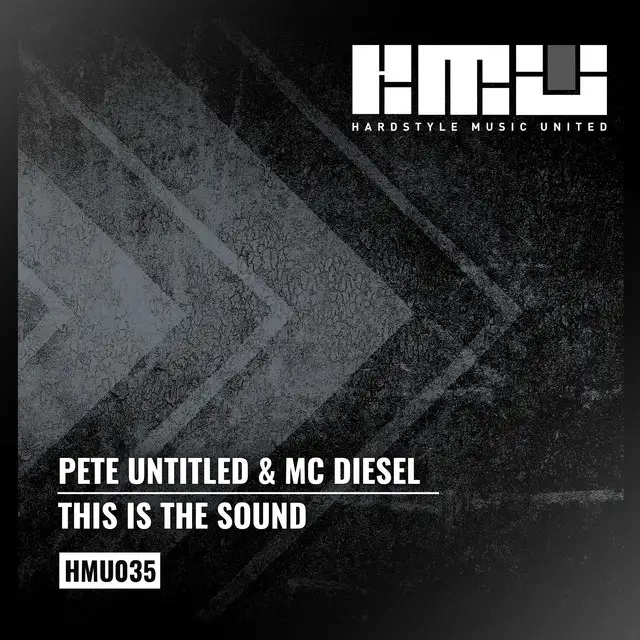 This Is The Sound - Radio Edit by MC Diesel, Pete Untitled - Hardstyle cover art