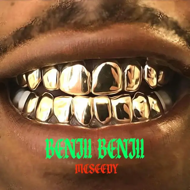 BENJII BENJII by Mcseedy - Hard Techno cover art