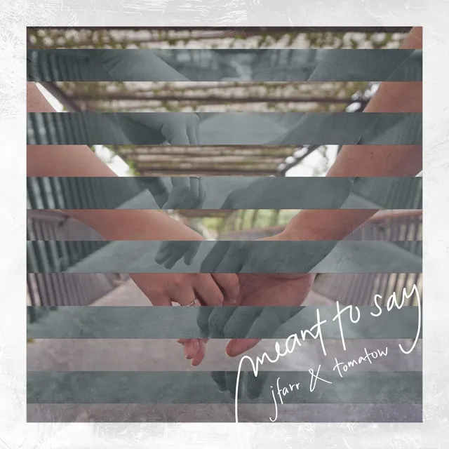 Cover art of Meant to Say