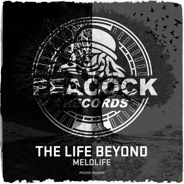 The Life Beyond by MELOLIFE - Frenchcore cover art