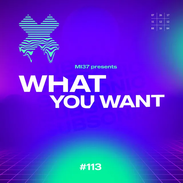 What You Want by MI37 - Hardstyle cover art