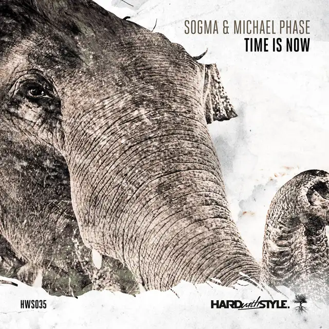 Time Is Now - Radio Edit by Michael Phase, Sogma - Hardstyle cover art