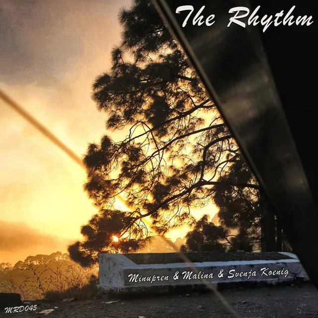 The Rhythm by Minupren, Malina, Svenja Koenig - Schranz cover art