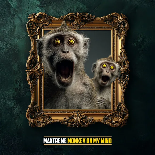 Cover art of Monkey on my mind