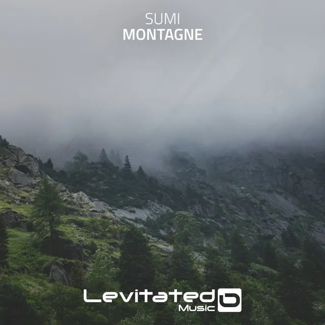 Cover art of Montagne