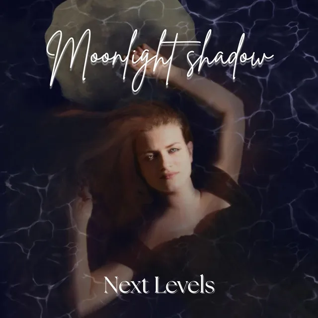 Cover art of Moonlight Shadow