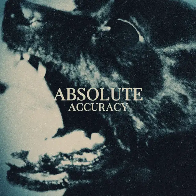 Absolute Accuracy by MORSURE - Hard Techno cover art