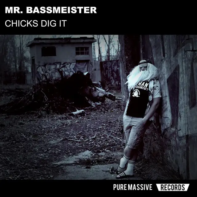 Chicks Dig It by Mr. Bassmeister - Frenchcore cover art