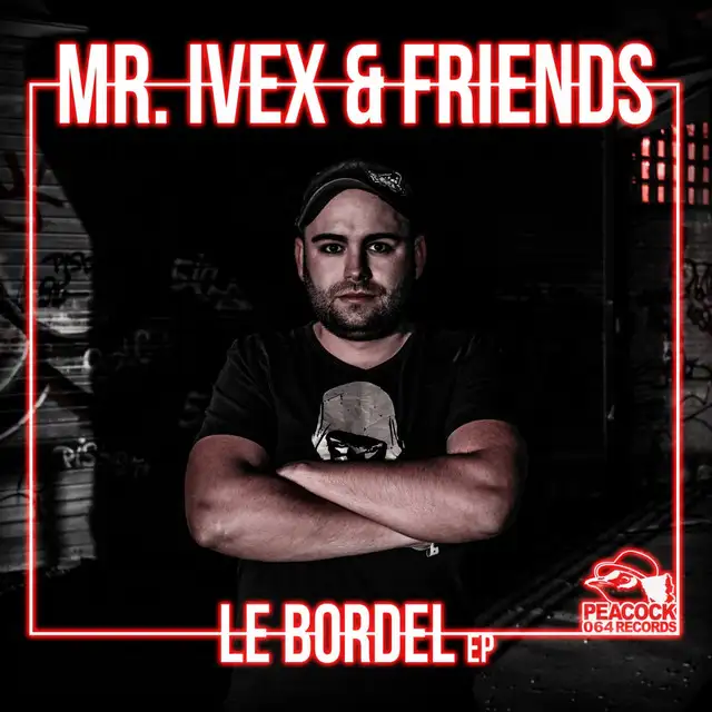 Destiny by Mr. Ivex, Progamers - Frenchcore cover art