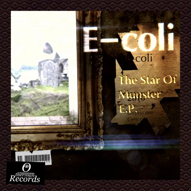 Cover art of The Star of Munster