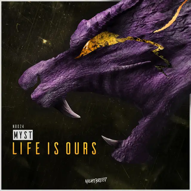 Life Is Ours - Original Mix by MYST - Hardstyle cover art