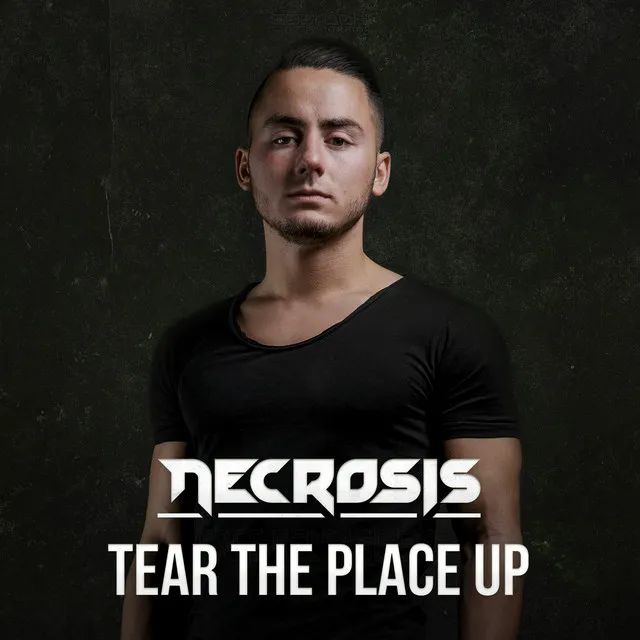 Tear The Place Up - Radio Edit by Necrosis - Rawstyle cover art