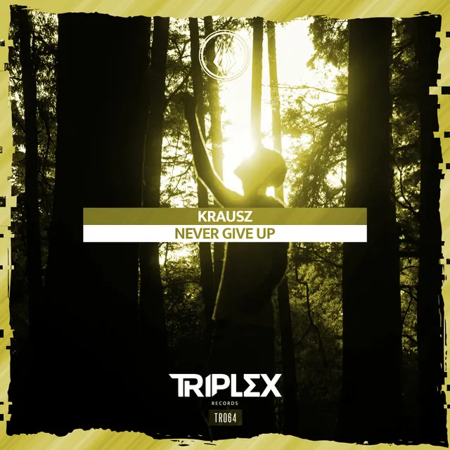 Cover art of Never Give Up