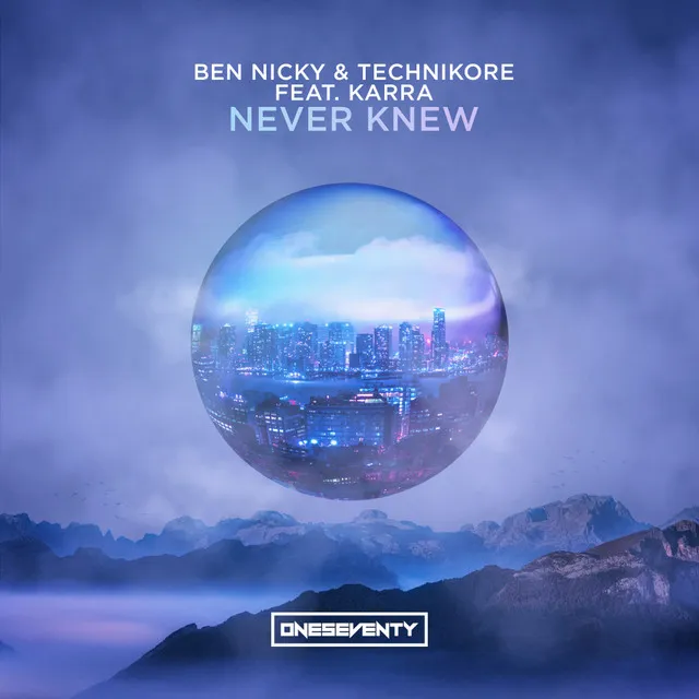 Cover art of Never Knew