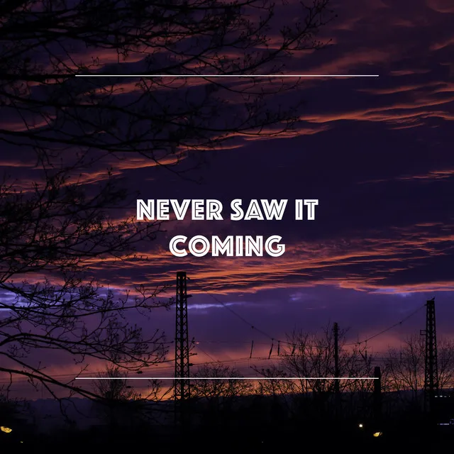 Cover art of never saw it coming