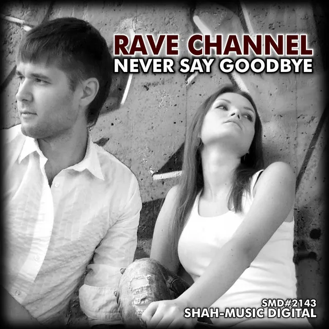 Cover art of Never Say Goodbye