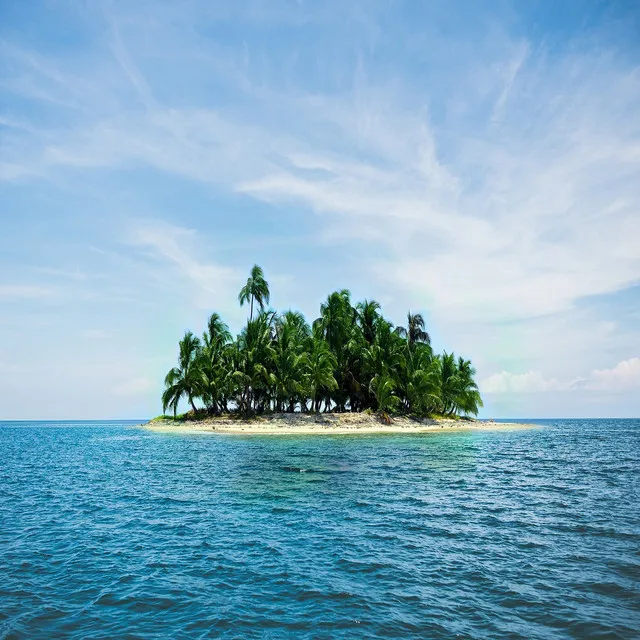 Cover art of New island