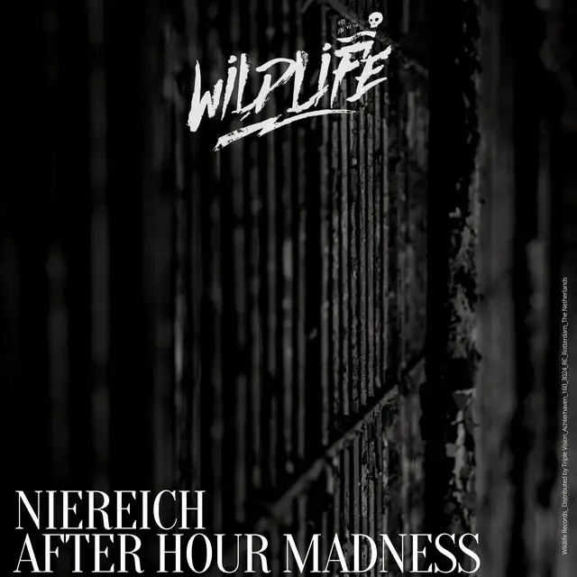 Afterhour Madness - Original Mix by Niereich - Hard Techno cover art