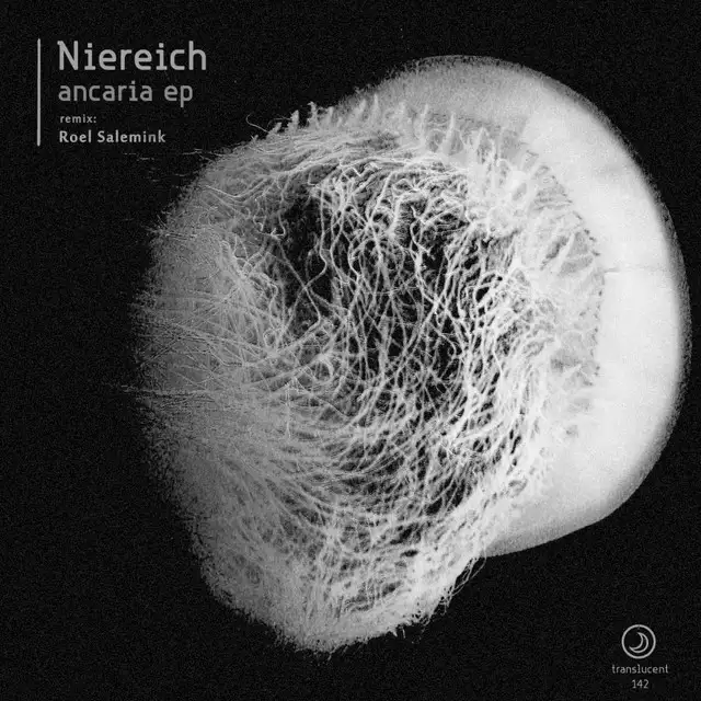 Agerola Positano - Roel Salemink Remix by Niereich, Roel Salemink - Hard Techno cover art
