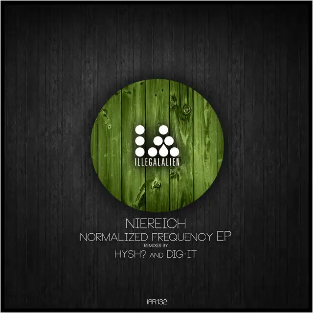 Normalized Frequency - Dig-It Remix by Niereich - Hard Techno cover art