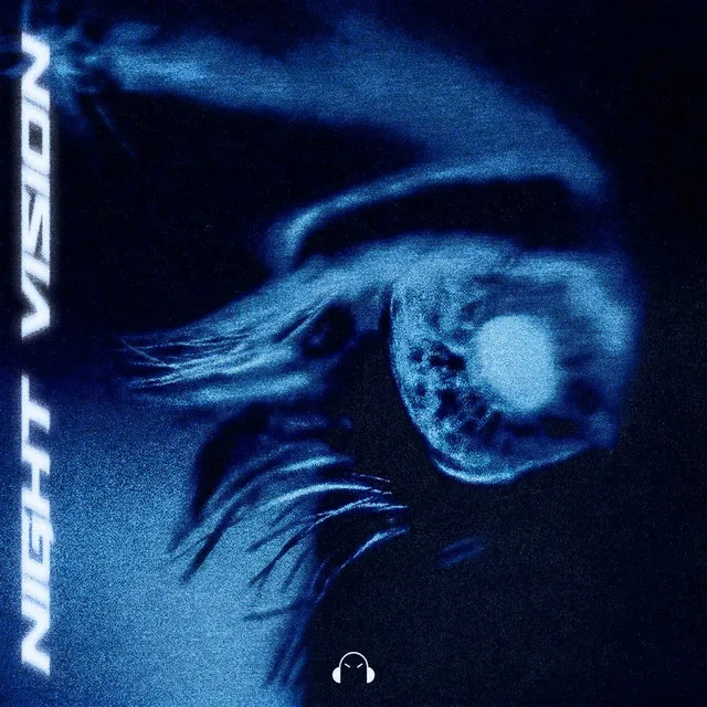 Cover art of NIGHT VISION