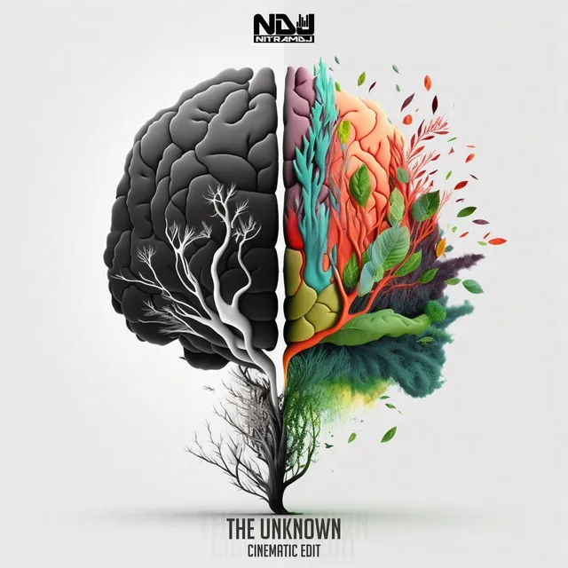 The Unknown - Cinematic Edit by Nitram DJ - Hardstyle cover art