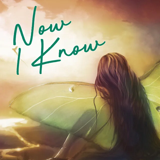 Now I Know - Dark Rehab Remix by Nomi Tales, Dark Rehab - Hardstyle cover art